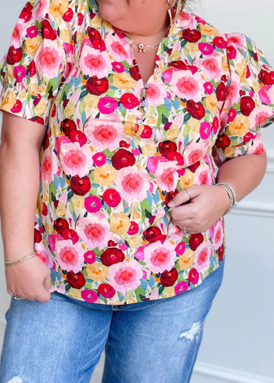 *PREORDER* Hardi Plus top